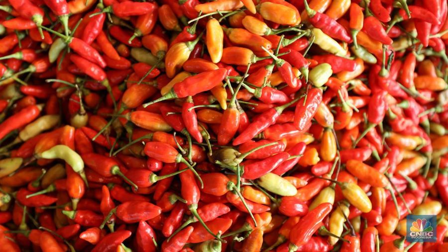 Cabai rawit merah di Pasar Induk Kramat Jati, Senin (13/6/2022). (CNBC Indonesia/ Tri Susilo)