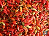 Diam-Diam Harga Cabai Rawit Merah Meledak, Badan Pangan Bilang Begini