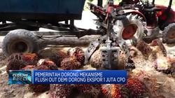 Pemerintah Dorong Mekanisme Flush Out Demi Dorong Ekspor CPO