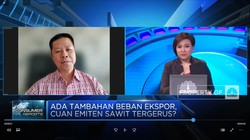 Demi Ekspor CPO, Pengusaha Siap Kena Biaya Tambahan USD 200