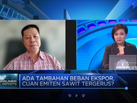 Demi Ekspor CPO, Pengusaha Siap Kena Biaya Tambahan USD 200