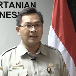 Akhirnya! Vaksinasi PMK Hewan Ternak Dimulai Besok