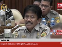Ada Wabah PMK, Kementan Izinkan Pengiriman Ternak Lewat Darat