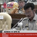 Mentan Anggarkan Rp 180,7 Miliar Lawan Wabah Penyakit Mulut