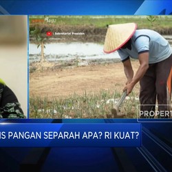 Krisis Pangan Mengancam, Indonesia Kuat Bertahan?