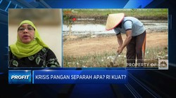 Krisis Pangan Mengancam, Indonesia Kuat Bertahan?