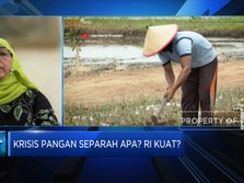Krisis Pangan Mengancam, Indonesia Kuat Bertahan?