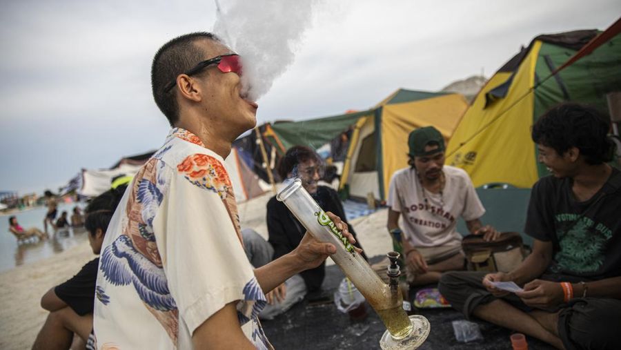 Orang-orang membawa tanaman ganja selama festival merayakan legalisasi di Nakhon Pathom, Thailand, Minggu (12/6/2022). Highland Network, sebuah organisasi pro-ganja, menyelenggarakan festival musik dan ganja 