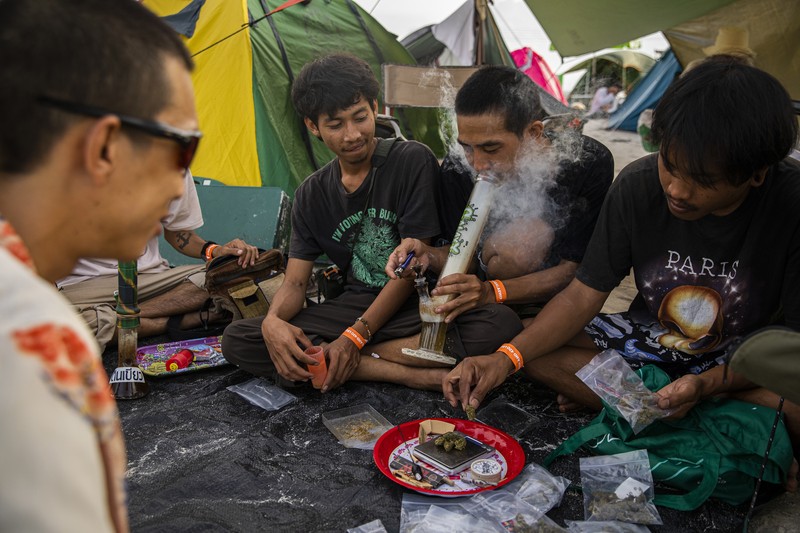 Pesta Legalisasi Ganja di Thailand Orang-orang membawa tanaman ganja selama festival merayakan legalisasi di Nakhon Pathom, Thailand, Minggu (12/6/2022). Highland Network, sebuah organisasi pro-ganja, menyelenggarakan festival musik dan ganja