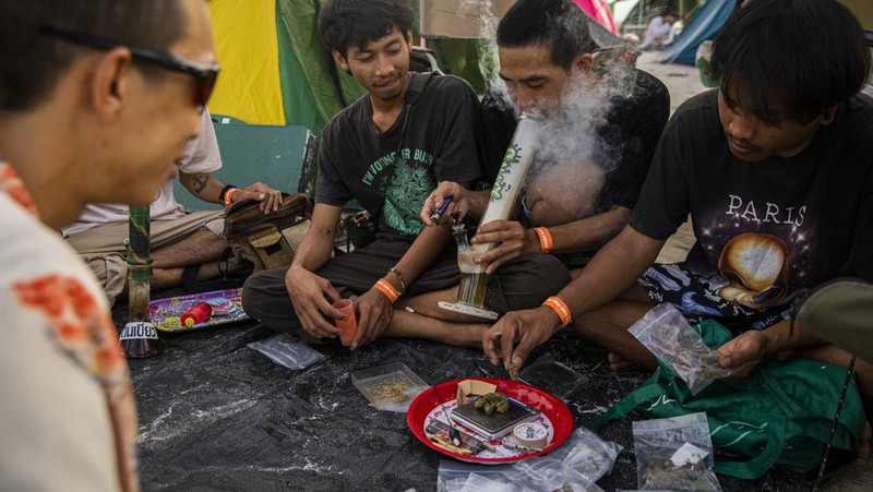 Orang-orang membawa tanaman ganja selama festival merayakan legalisasi di Nakhon Pathom, Thailand, Minggu (12/6/2022). Highland Network, sebuah organisasi pro-ganja, menyelenggarakan festival musik dan ganja 