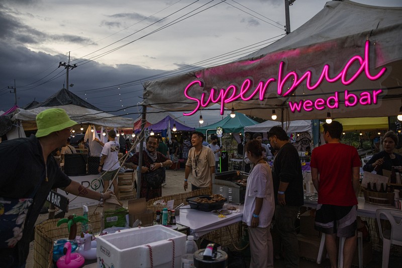 Pesta Legalisasi Ganja di Thailand Orang-orang membawa tanaman ganja selama festival merayakan legalisasi di Nakhon Pathom, Thailand, Minggu (12/6/2022). Highland Network, sebuah organisasi pro-ganja, menyelenggarakan festival musik dan ganja