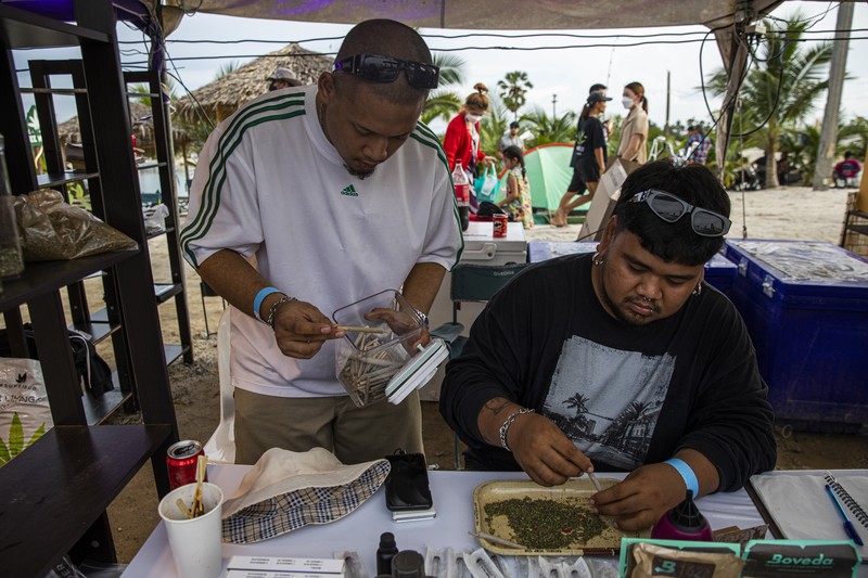Pesta Legalisasi Ganja di Thailand Orang-orang membawa tanaman ganja selama festival merayakan legalisasi di Nakhon Pathom, Thailand, Minggu (12/6/2022). Highland Network, sebuah organisasi pro-ganja, menyelenggarakan festival musik dan ganja