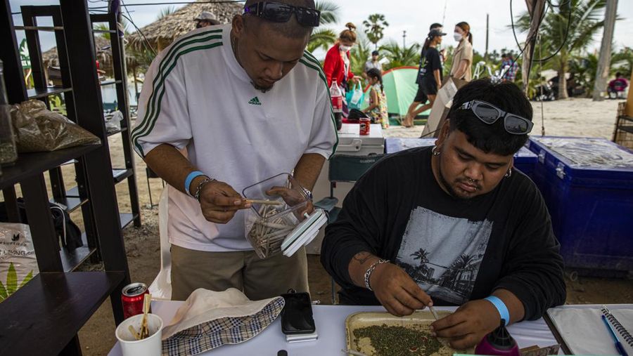 Peserta festival melinting ganja untuk dijual kepada pelanggan selama festival merayakan legalisasi di Nakhon Pathom, Thailand, Minggu (12/6/2022). Highland Network, sebuah organisasi pro-ganja, menyelenggarakan festival musik dan ganja 