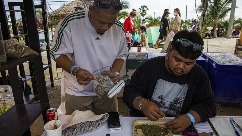 Orang-orang membawa tanaman ganja selama festival merayakan legalisasi di Nakhon Pathom, Thailand, Minggu (12/6/2022). Highland Network, sebuah organisasi pro-ganja, menyelenggarakan festival musik dan ganja 