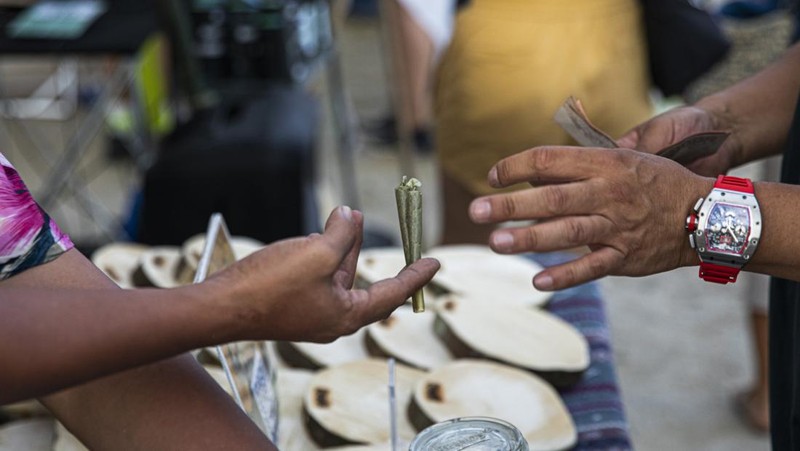 Orang-orang membawa tanaman ganja selama festival merayakan legalisasi di Nakhon Pathom, Thailand, Minggu (12/6/2022). Highland Network, sebuah organisasi pro-ganja, menyelenggarakan festival musik dan ganja 