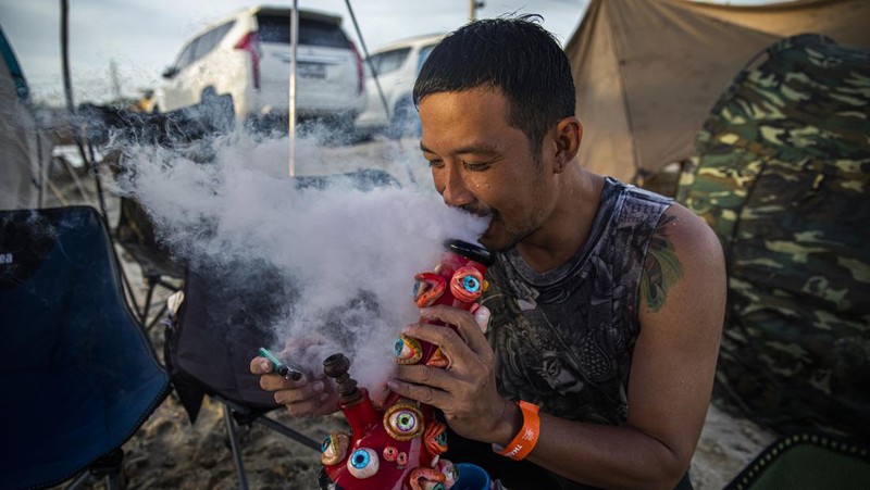 Orang-orang membawa tanaman ganja selama festival merayakan legalisasi di Nakhon Pathom, Thailand, Minggu (12/6/2022). Highland Network, sebuah organisasi pro-ganja, menyelenggarakan festival musik dan ganja 
