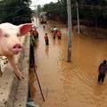 China Dibuat Pusing Babi, Inflasi Tembus Rekor Dalam 2 Tahun