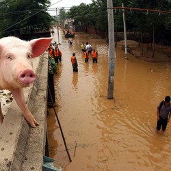 China Dibuat Pusing Babi, Inflasi Tembus Rekor Dalam 2 Tahun