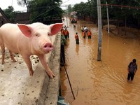 China Dibuat Pusing Babi, Inflasi Tembus Rekor Dalam 2 Tahun