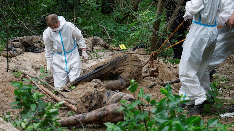 Tim forensik memasukkan ke dalam kantong jenazah tubuh seseorang yang diduga dibunuh dan dikuburkan selama serangan Rusia ke Ukraina di dekat desa Vorzel di distrik Bucha, wilayah Kyiv, Ukraina, Senin (13/6/2022). (REUTERS/Valentyn Ogirenko)