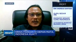 Pengamat Sebut Ketahanan Pangan RI Melemah, Ini Buktinya!