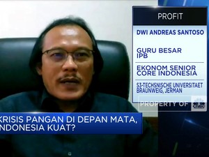 Pengamat Sebut Ketahanan Pangan RI Melemah, Ini Buktinya!