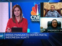 Tangkal Krisis Pangan, Dimana Peran BUMN Pangan?