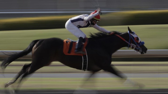A jockey and a horse during a race to commemorate the 79th Anniversary of the Hipódromo de Las Américas in Mexico City, where several thoroughbred horse races and a giant 400 kilos cake were celebrated. The event was attended by singers Alex and Celia Lora, Flor Amargo, Cadetes de Linares, among others, who performed several melodies in front of the visiting public. (Photo by Gerardo Vieyra/NurPhoto via Getty Images)