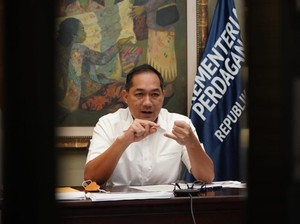 Lutfi Sentil Malaysia soal Karhutla: Bercerminlah Dahulu, Selidiki Perusahaan