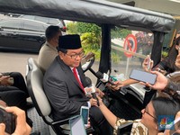 Bersiap! Ekspor Minyak Goreng Dapat Insentif Dari Jokowi