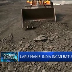 Laris Manis! India Incar Batu Bara RI