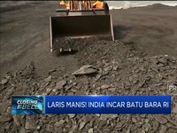 Laris Manis! India Incar Batu Bara RI