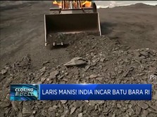 Laris Manis! India Incar Batu Bara RI