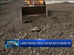 Laris Manis! India Incar Batu Bara RI