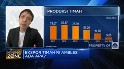 Ekspor Timah RI Ambles, Merosotnya Harga Jadi Sebabnya?