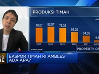 Ekspor Timah RI Ambles, Merosotnya Harga Jadi Sebabnya?