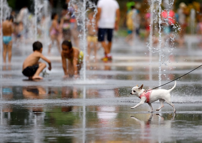 Seekor anjing berjalan melewati anak-anak yang mendinginkan diri di air mancur umum di Nice saat gelombang panas awal melanda Prancis, Rabu (15/6/2022). (REUTERS/Eric Gaillard)