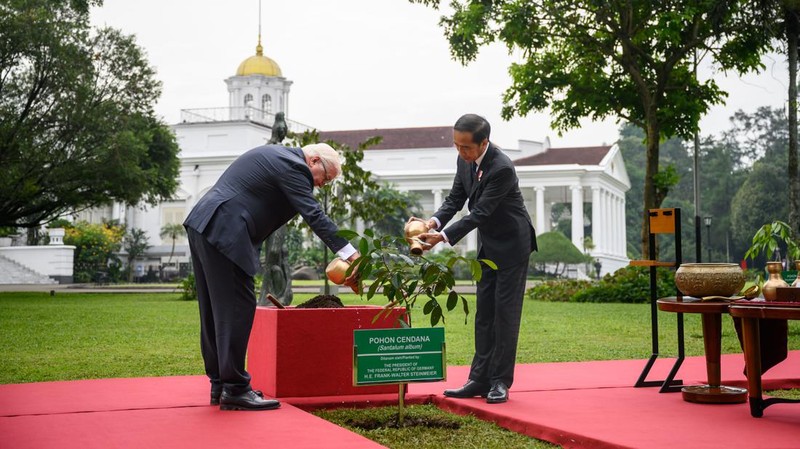 Presiden Indonesia Joko Widodo dan Presiden Jerman Frank-Walter Steinmeier disambut oleh para penari dengan pakaian tradisional saat upacara penyambutan pertemuan mereka di Istana Kepresidenan di Bogor, Kamis (16/6/2022). (Mast Irham/Pool via REUTERS)