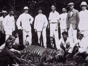 Mengungkap Eksistensi Harimau Jawa yang Dianggap Punah