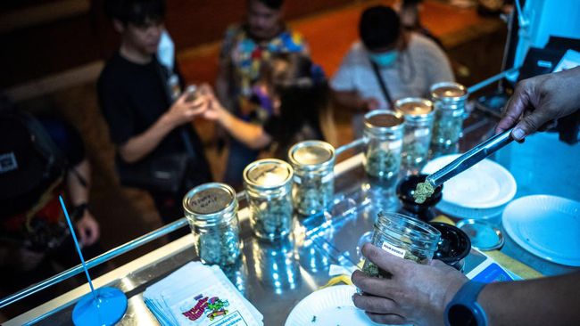 PM Thailand Cabut Status 'Bebas' Konsumsi Ganja Akhir 2025