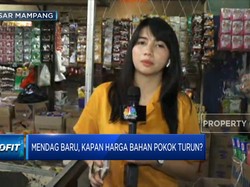 Mendag Baru, Kapan Harga Bahan Pokok Turun?