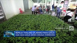 Remaja Thailand Dilarang Pakai Ganja
