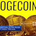Gegara Dogecoin, Elon Musk Dituntut Rp 3.800 Triliun