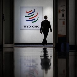 RI Bawa Dua Senjata Ini! Uni Eropa Bakal Keok di WTO