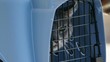 Willow Biden, Kucing Presiden AS yang Curi Perhatian