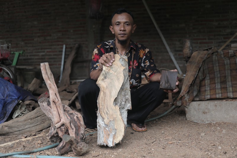 kayu setigi, dewandaru, dan kalimasada khas Karimun Jawa (CNBC Indonesia/Muhammad Sabki) kayu setigi, dewandaru, dan kalimasada khas Karimun Jawa (CNBC Indonesia/Muhammad Sabki)