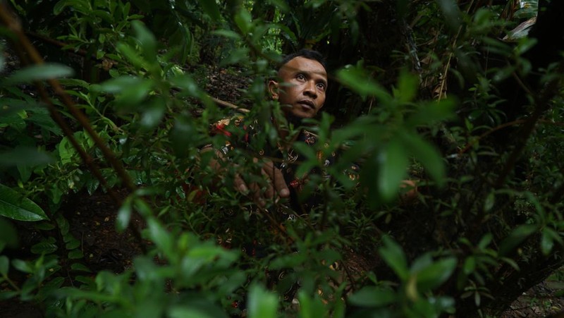 kayu setigi, dewandaru, dan kalimasada khas Karimun Jawa (CNBC Indonesia/Muhammad Sabki)