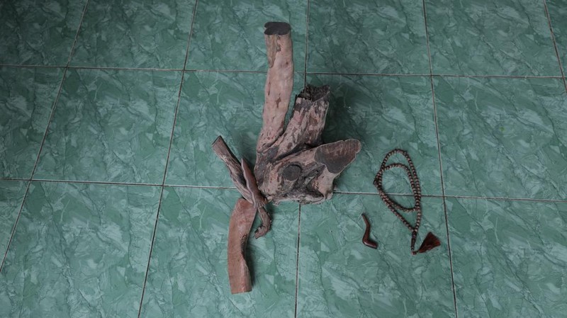 kayu setigi, dewandaru, dan kalimasada khas Karimun Jawa (CNBC Indonesia/Muhammad Sabki)