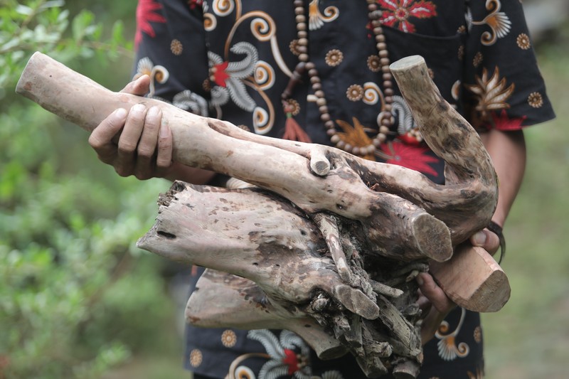 kayu setigi, dewandaru, dan kalimasada khas Karimun Jawa (CNBC Indonesia/Muhammad Sabki) kayu setigi, dewandaru, dan kalimasada khas Karimun Jawa (CNBC Indonesia/Muhammad Sabki)