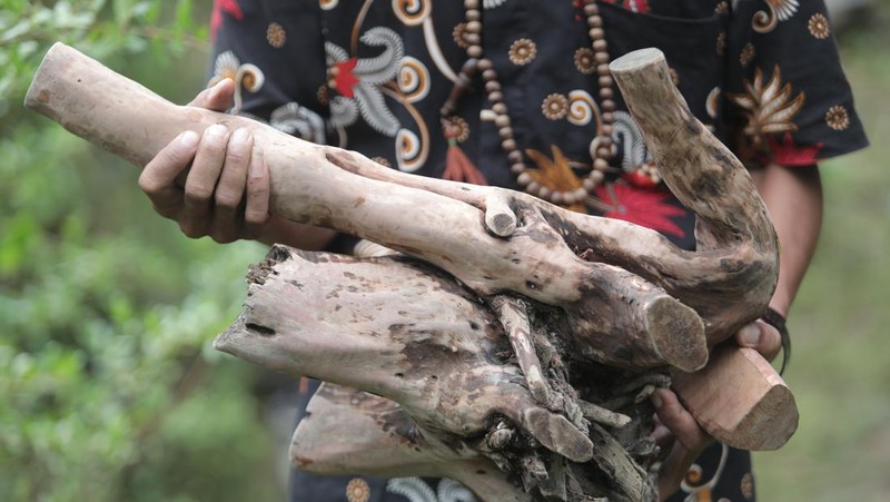kayu setigi, dewandaru, dan kalimasada khas Karimun Jawa (CNBC Indonesia/Muhammad Sabki)